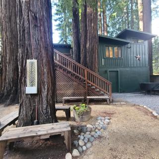 Dhyana Redwoods Fire Table Nearby River Access Ping Pong & Arcade Games - 9
