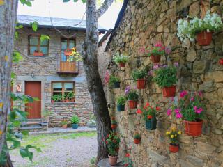 Casa rural El Trubio - Vigo de Sanabria - 8