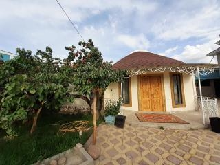 Barskoon Guest House - Barskoon - 1