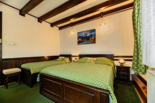 Pension Casa Bradul - Predeal - 1