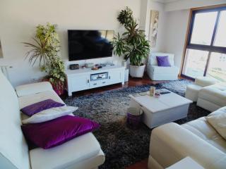 Duplex grandes cristaleras impresionantes vistas - Ourense - 5