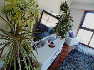 Duplex grandes cristaleras impresionantes vistas - Ourense - 6