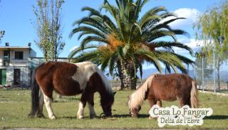 Casa Lo Fangar - Delta de l'Ebre - 4 dobles 2 lliteres - 2