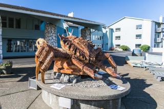 Canterbury Inn - Ocean Shores - 3