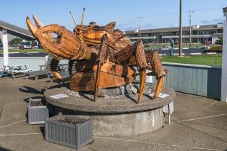 Canterbury Inn - Ocean Shores - 4