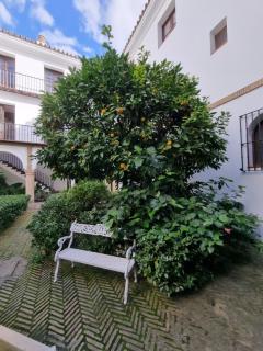 Apartamento de dos dormitorios en Plaza Alfaro - Sevilha - 9