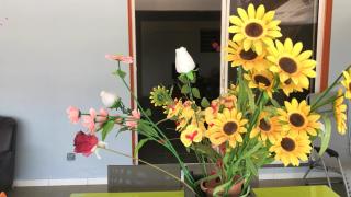 Appartement charmant à Sainte-Marie, 55 m², piscine - 4