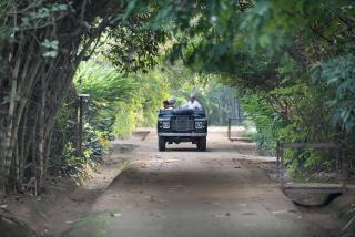 Tiger Tops Tharu Lodge - 1