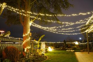 Schöne, geräumige Souterrain mit Japangarten, kostenlos Parkplatz - 7