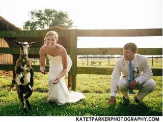 The Farmhouse Inn - Madison - 4