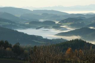 Boutiquehotel BERGERGUT - 1