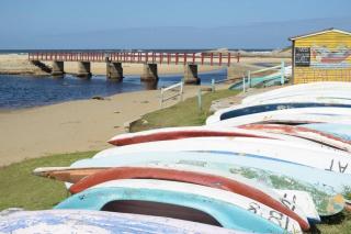 The Whale and Waddler - 6