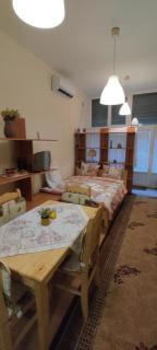 Comfortable and cosy studio near NDK - Sofia - 5