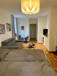 Zentrale Ferienwohnung mit Balkon in Aachen - Aachen - 9