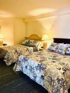 Spectacular Ocean View - Daytona Beach - 5