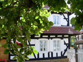 Gîtes et chambres d'hôtes Maison Ungerer - Hunspach - 9