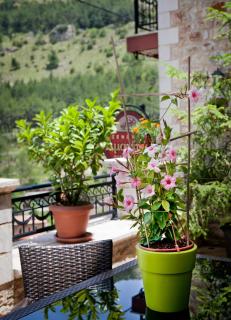 Amanites Guesthouse - Dimitsana - 1