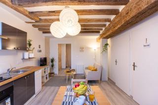 "LE VINCI" Châteaux, Loire & Centre-ville - Amboise - 9
