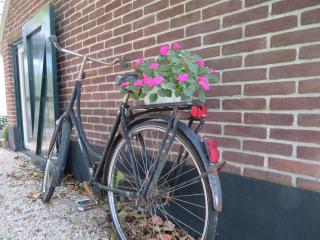 B&B De Willemshoeve - Wageningen - 4