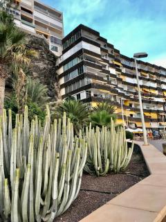 Exclusives Apartment 10 meters to Ocean - Maspalomas - 2