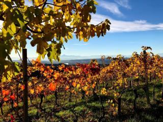 Cà 'd Langa B&B - 4