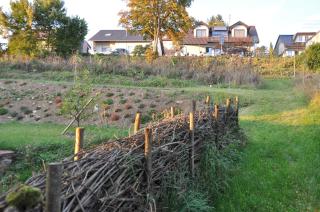 Ferienwohnung Altes Pfarrhaus Bargen - Bargen - 1
