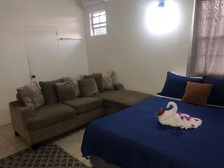 Caribbean Dream Vacation Property CD3 - 1