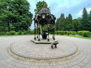 Traditional apt close to city centre & Hampden - 5