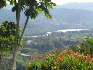 La Flor de Loto - Cartago - 3