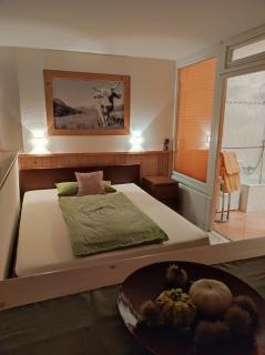 PenthouseApartment 250° - Sonthofen - 2