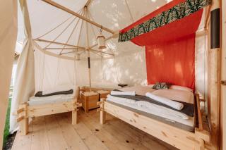 Malešov Camp - Malešov - 6