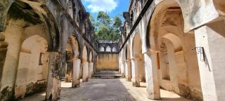 Mbweni Ruins & Gardens Previously Jungle Paradise - Città di Zanzibar - 5