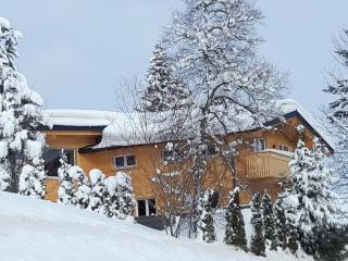 Ferienwohnung Riezler - Hirschegg - 0