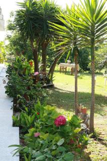Gongis Studios - 4