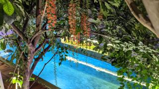 Sarina Hotel & Villa - Phnom Penh - 0