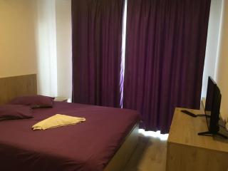 APARTAMENT AVANGARDEN EMA ROSU - Braşov - 4