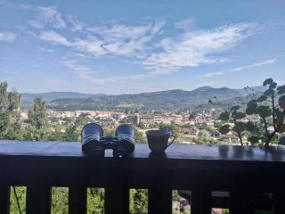 Cabana Ayana - Vişeu de Sus - 4