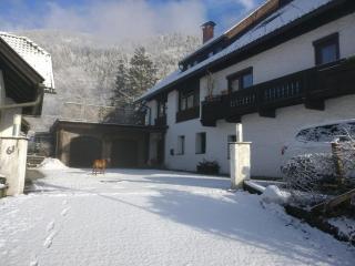 Alpenblick FeWo Hauser - Reisach - 1