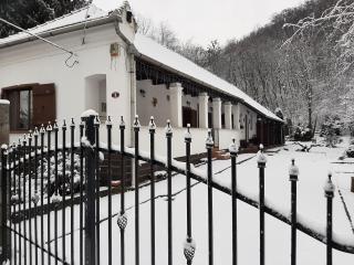 Bodza Vendégház - Apartmanház - Demjén - 8