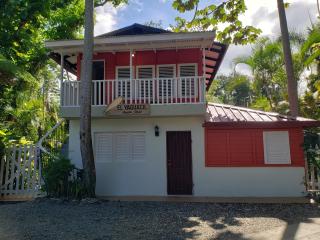 El Yaguacil Aparta Hotel - Jarabacoa - 5