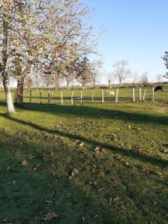 Le Verger (Le Plessis) - 1