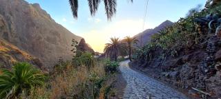 Casa Rural El Horno Masca - 6