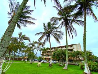 Leviv Praia Hotel - Caraguatatuba - 0