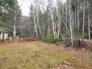 Les Chatons Azur - Chalet - 1