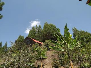 La Casita de Oxapampa - Oxapampa - 5