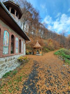 Pensiune Marginimea Sibiului - Orlat - 4