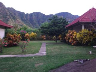 Gunung Mas Pemuteran - Pemuteran - 0