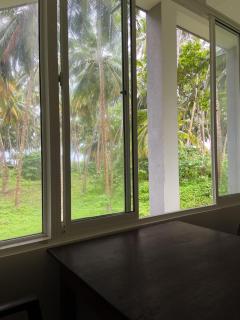 Surf Home Stay Hiriketiya - Hiriketiya - 3