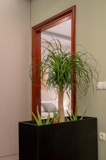 Centrally located cozy apartment - Iráclio - 1