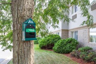 Comfort Inn Rockford near Casino District - Rockford - 8